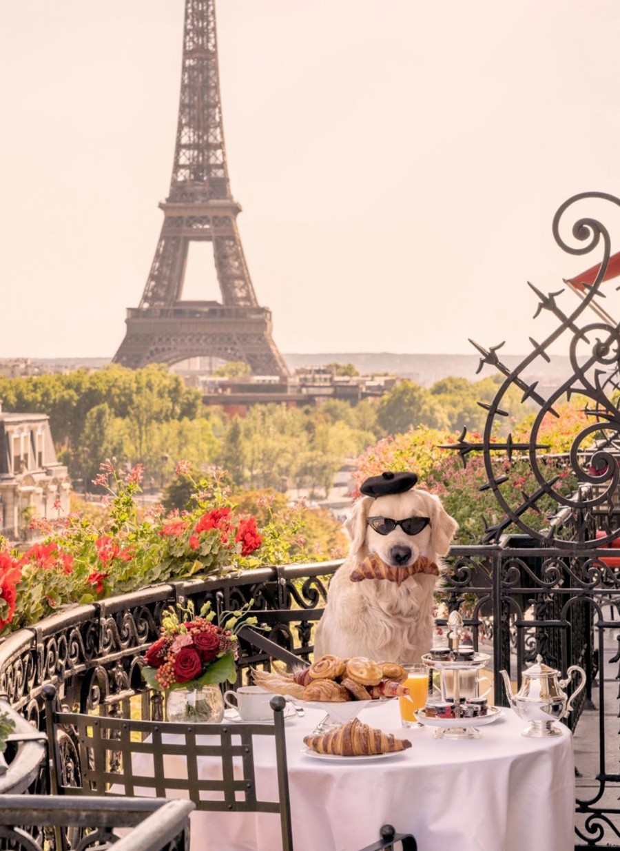 Μια σειρά από γλυκούς «εισβολείς» κατακτούν την Πόλη του Φωτός - Φωτογραφία 3