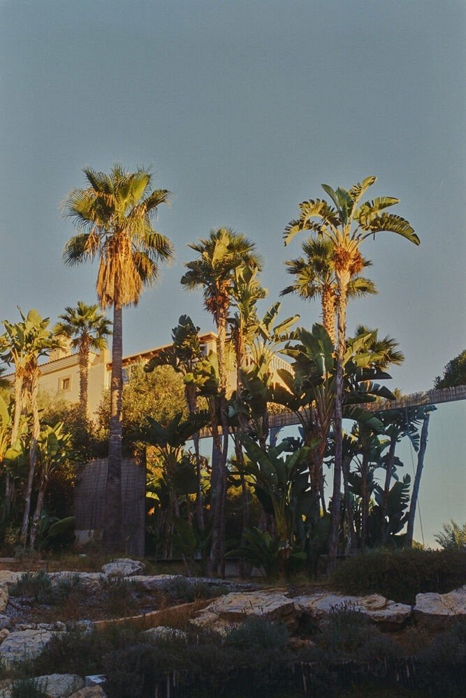 Η βίλα Mediterraneo αγναντεύει την Ίμπιζα μέσα από οθόνες από μπαμπού- Φωτογραφία 3