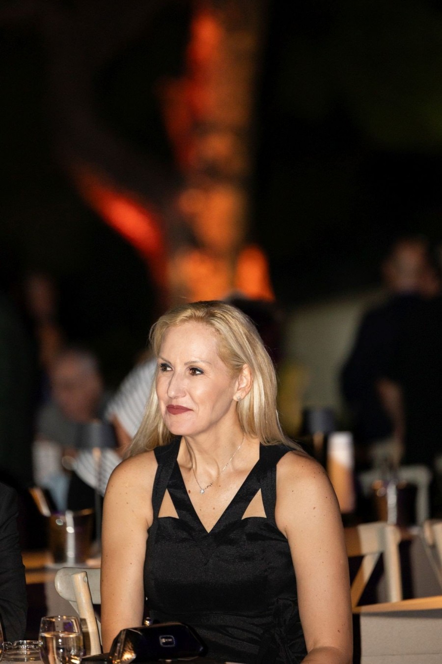 Μουσική και φως σε μία μαγική βραδιά με τον Στέφανο Κορκολή στο Κολλέγιο Ανατόλια- Φωτογραφία 9