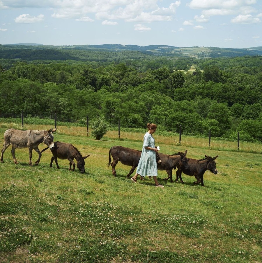 Ένα country house στο Millbrook της Νέας Υόρκης είναι εμπνευσμένο από την αγγλική εξοχή- Φωτογραφία 6