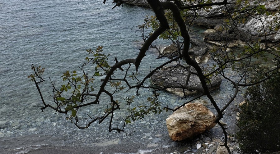 Μια ματιά στην ονειρεμένη κατοικία του Sir Patrick Leigh Fermor στη Μεσσηνία - Φωτογραφία 16