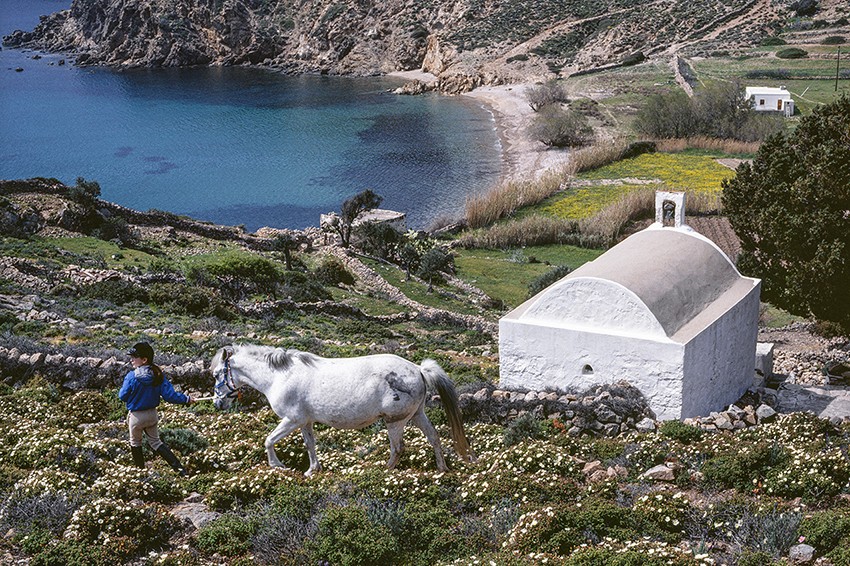 «Χαίρε Ξένε Στη Χώρα των Ονείρων»: Η νέα έκθεση στο Μουσείο Ακρόπολης που φέρνει στο επίκεντρο τη μεταπολεμική Ελλάδα- Φωτογραφία 5