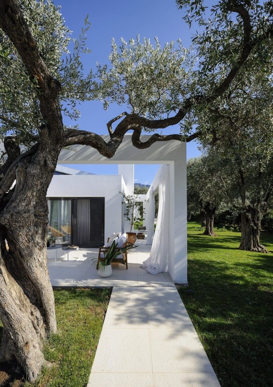 Η ιδανική εξοχική κατοικία βρίσκεται σ' έναν αιωνόβιο ελαιώνα στη Θάσο- Φωτογραφία 1