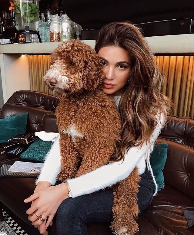  Mosey the dog 
