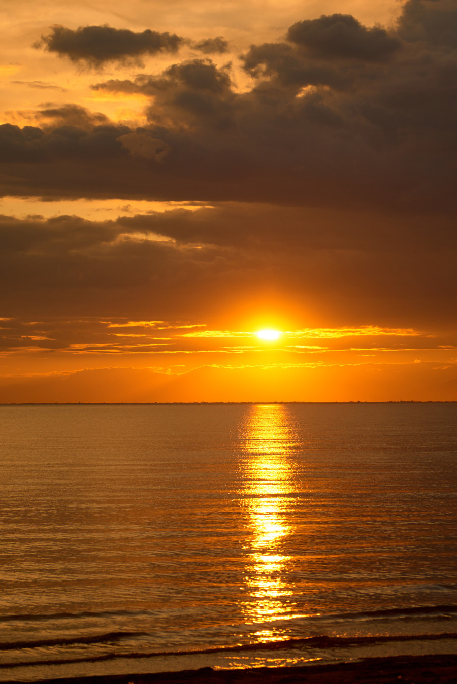 Το Pink Dot Café γιόρτασε 5 χρόνια λειτουργίας με ένα αξέχαστο party- Φωτογραφία 2