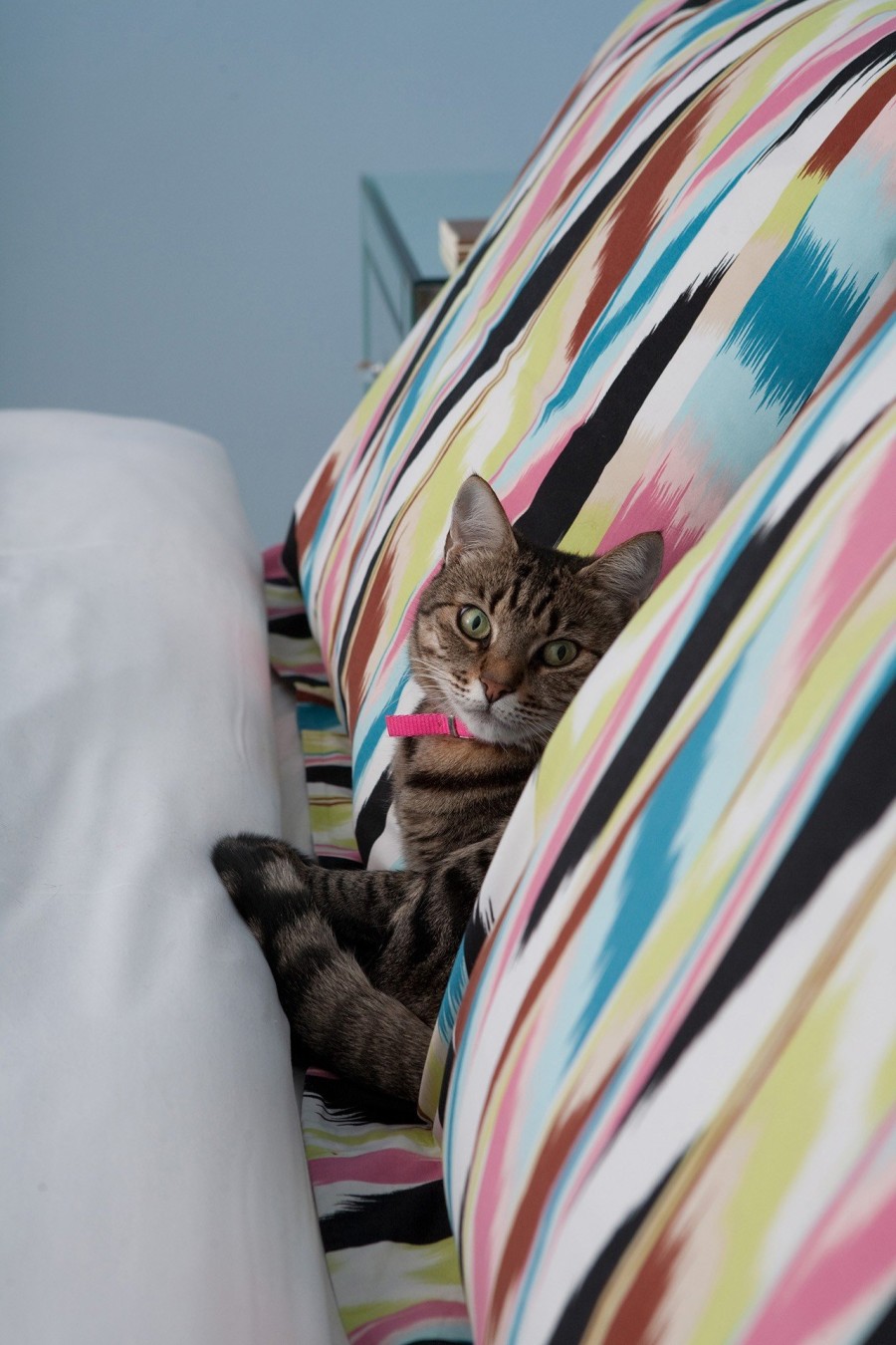 Ένα διαμέρισμα στο κέντρο της Θεσσαλονίκης με ισχυρή προσωπικότητα - Φωτογραφία 17