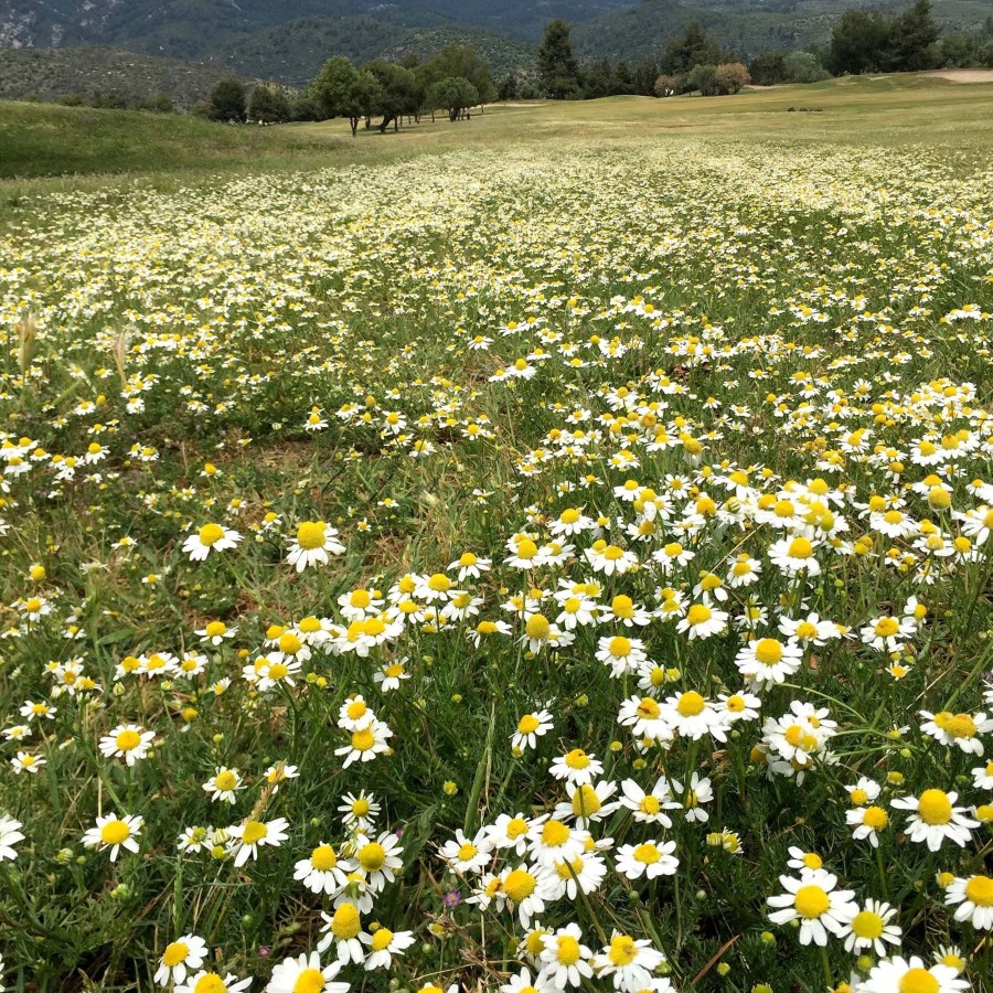 #Unique Topias Η αξέχαστη συμμετοχή μου στο Art Project φωτογραφίας- Φωτογραφία 1