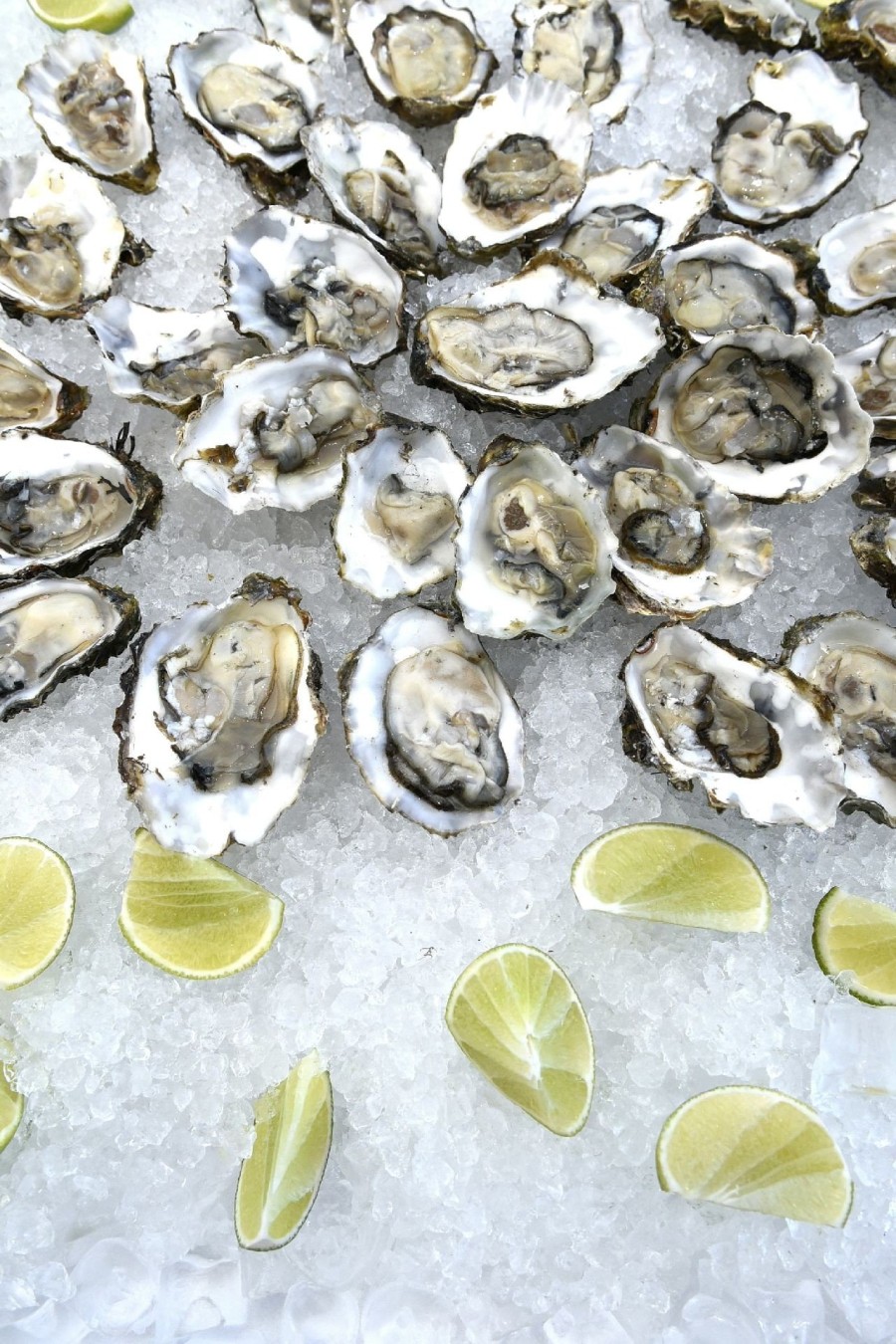 Sani Gourmet 2018: Η υψηλή γαστρονομία στο προσκήνιο- Φωτογραφία 20