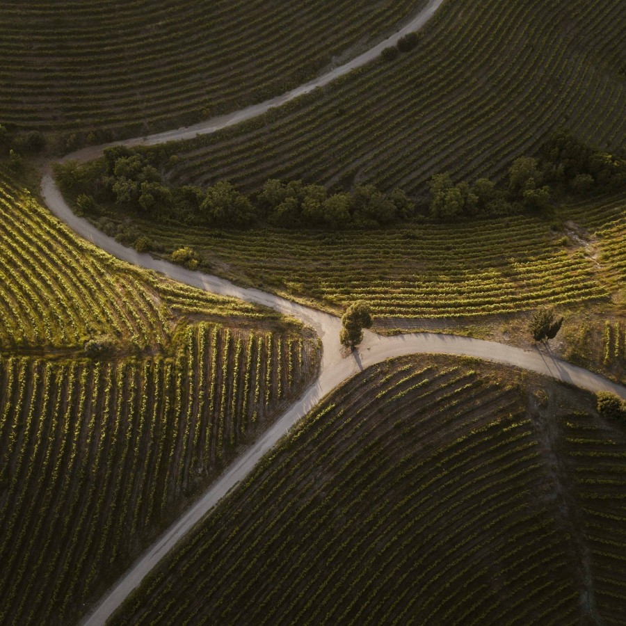 #Unique Topias Η αξέχαστη συμμετοχή μου στο Art Project φωτογραφίας- Φωτογραφία 8