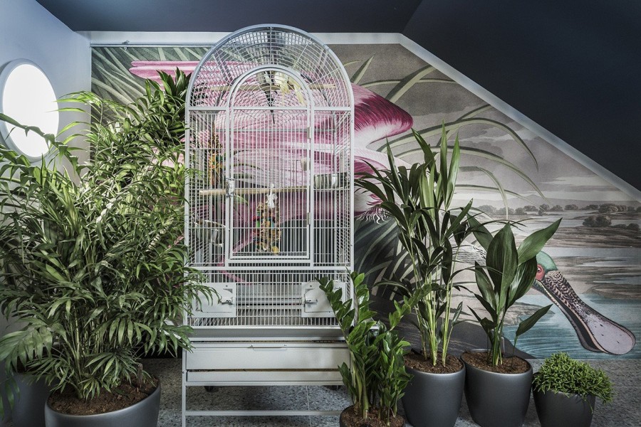 Oι Studiolav δίνουν τη σύγχρονη ερμηνεία του Cabinet of Curiosities - Φωτογραφία 8