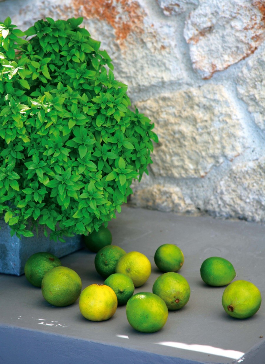 Μια υπέροχη κατοικία στη Χαλκιδική αγγίζει το ιδανικό όνειρο χαλάρωσης- Φωτογραφία 8