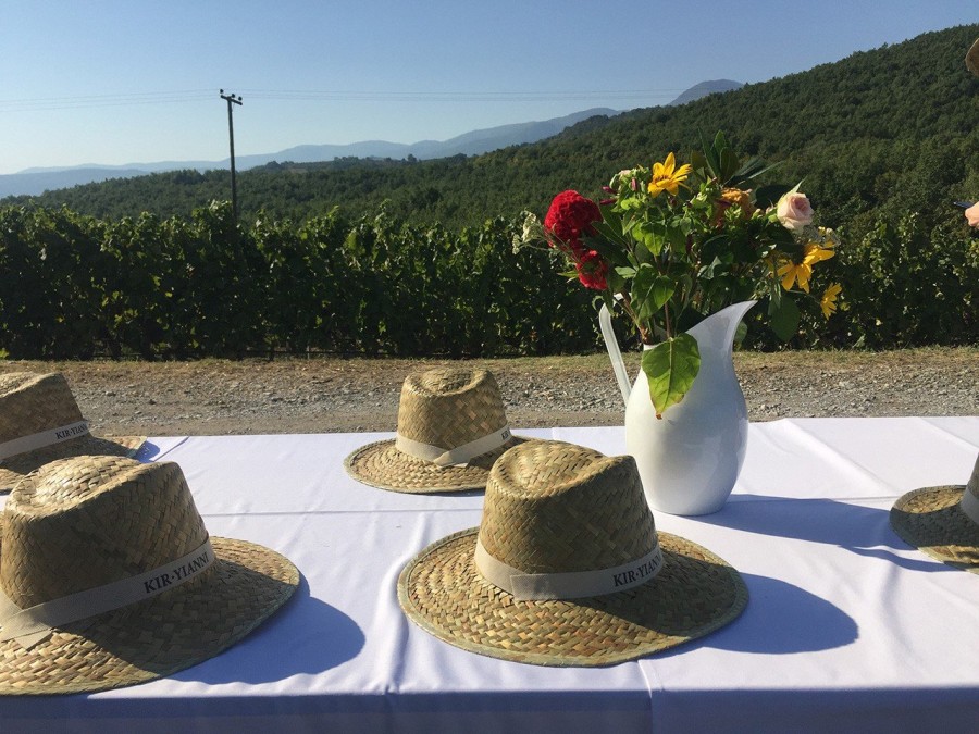 Ο Στέλλιος Μπουτάρης μας μυεί στον μαγικό κόσμο του κρασιού- Φωτογραφία 1