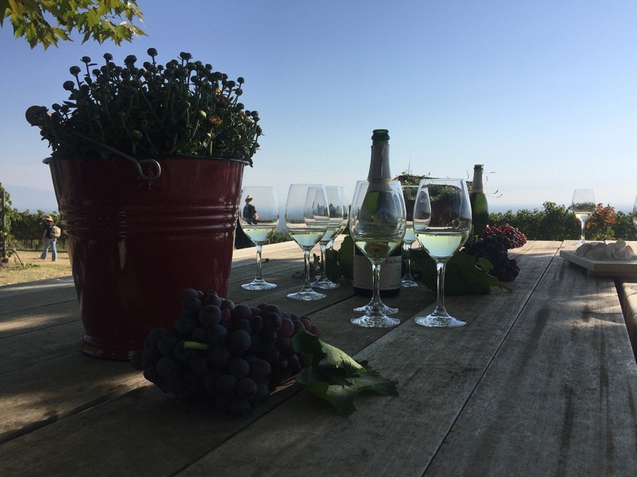 Ο Στέλλιος Μπουτάρης μας μυεί στον μαγικό κόσμο του κρασιού- Φωτογραφία 4