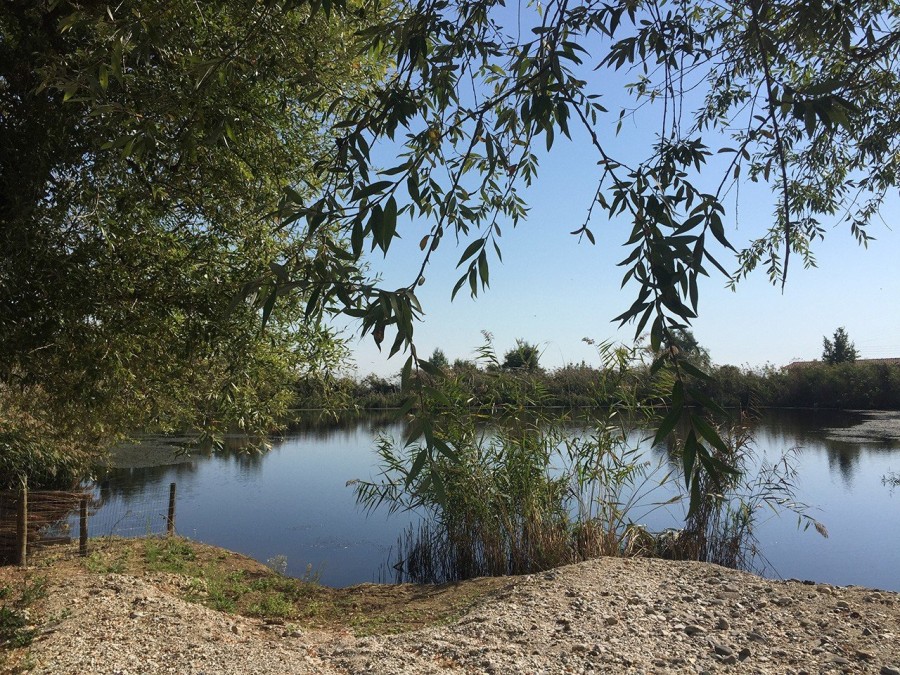 Ο Στέλλιος Μπουτάρης μας μυεί στον μαγικό κόσμο του κρασιού- Φωτογραφία 6