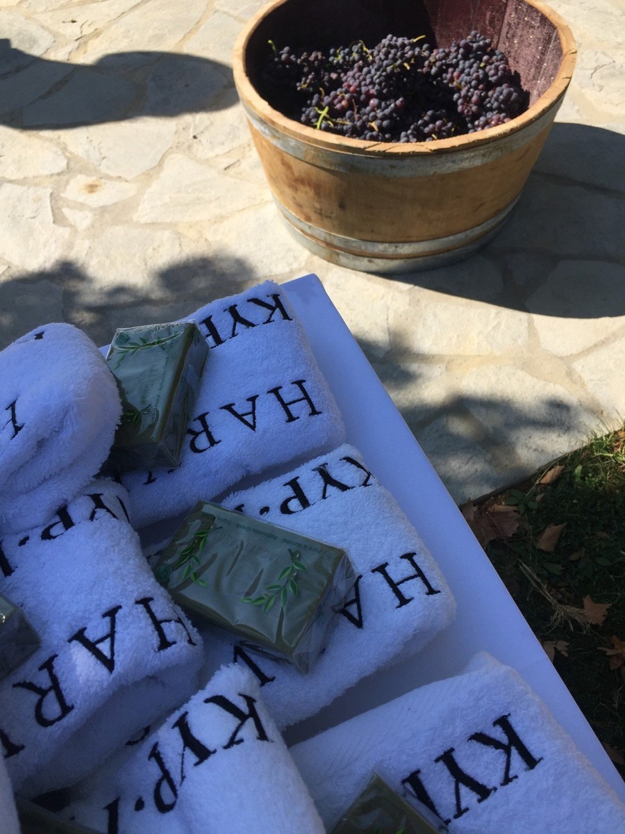 Ο Στέλλιος Μπουτάρης μας μυεί στον μαγικό κόσμο του κρασιού- Φωτογραφία 8