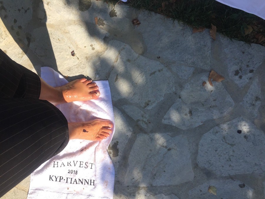 Ο Στέλλιος Μπουτάρης μας μυεί στον μαγικό κόσμο του κρασιού- Φωτογραφία 9