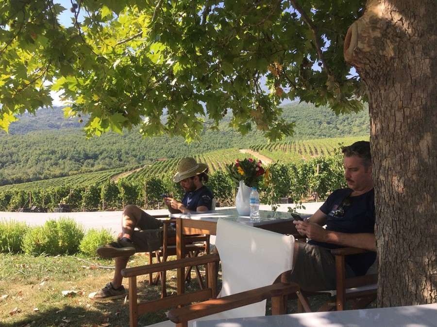 Ο Στέλλιος Μπουτάρης μας μυεί στον μαγικό κόσμο του κρασιού- Φωτογραφία 11