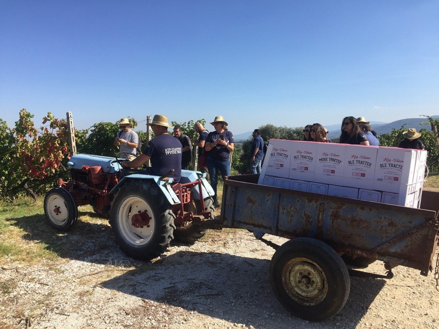 Ο Στέλλιος Μπουτάρης μας μυεί στον μαγικό κόσμο του κρασιού- Φωτογραφία 15