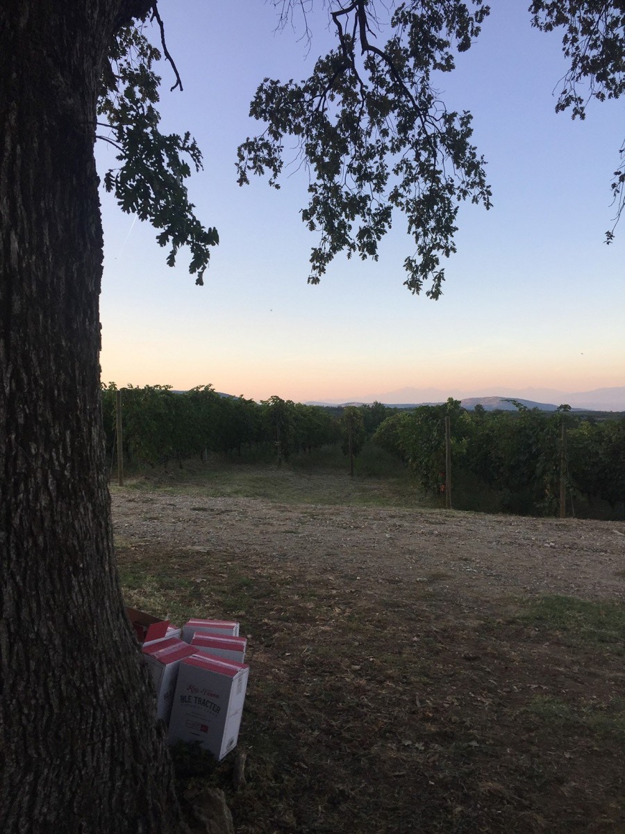 Ο Στέλλιος Μπουτάρης μας μυεί στον μαγικό κόσμο του κρασιού- Φωτογραφία 19