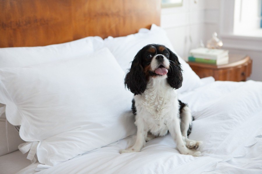 Στον δημιουργικό κόσμο της Νικομάχης Καρακωστάνογλου στο Νυμφαίο- Φωτογραφία 10