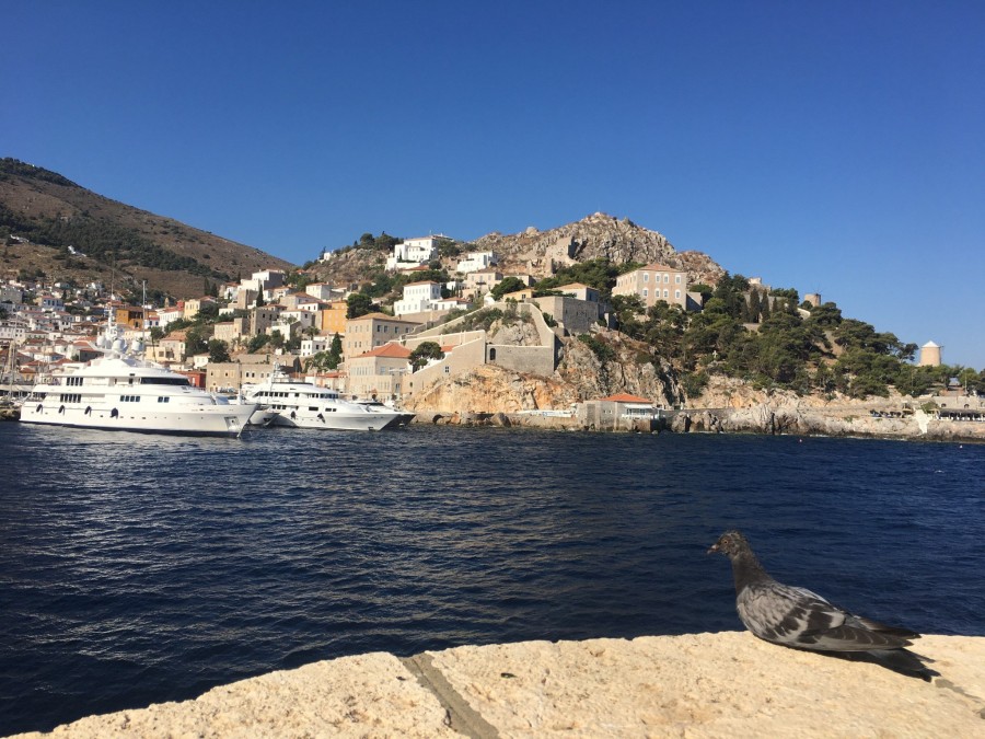 Ο συγγραφέας Χρήστος Δασκαλάκης μας ξεναγεί στη φθινοπωρινή Ύδρα- Φωτογραφία 4