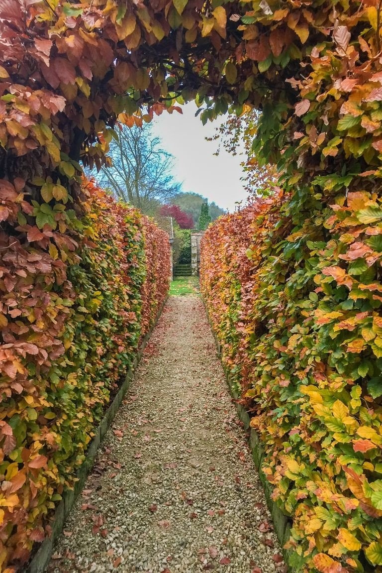 Ζήστε βασιλικά στην κατοικία της Wallis Simpson και του βασιλιά Edward VIII- Φωτογραφία 11