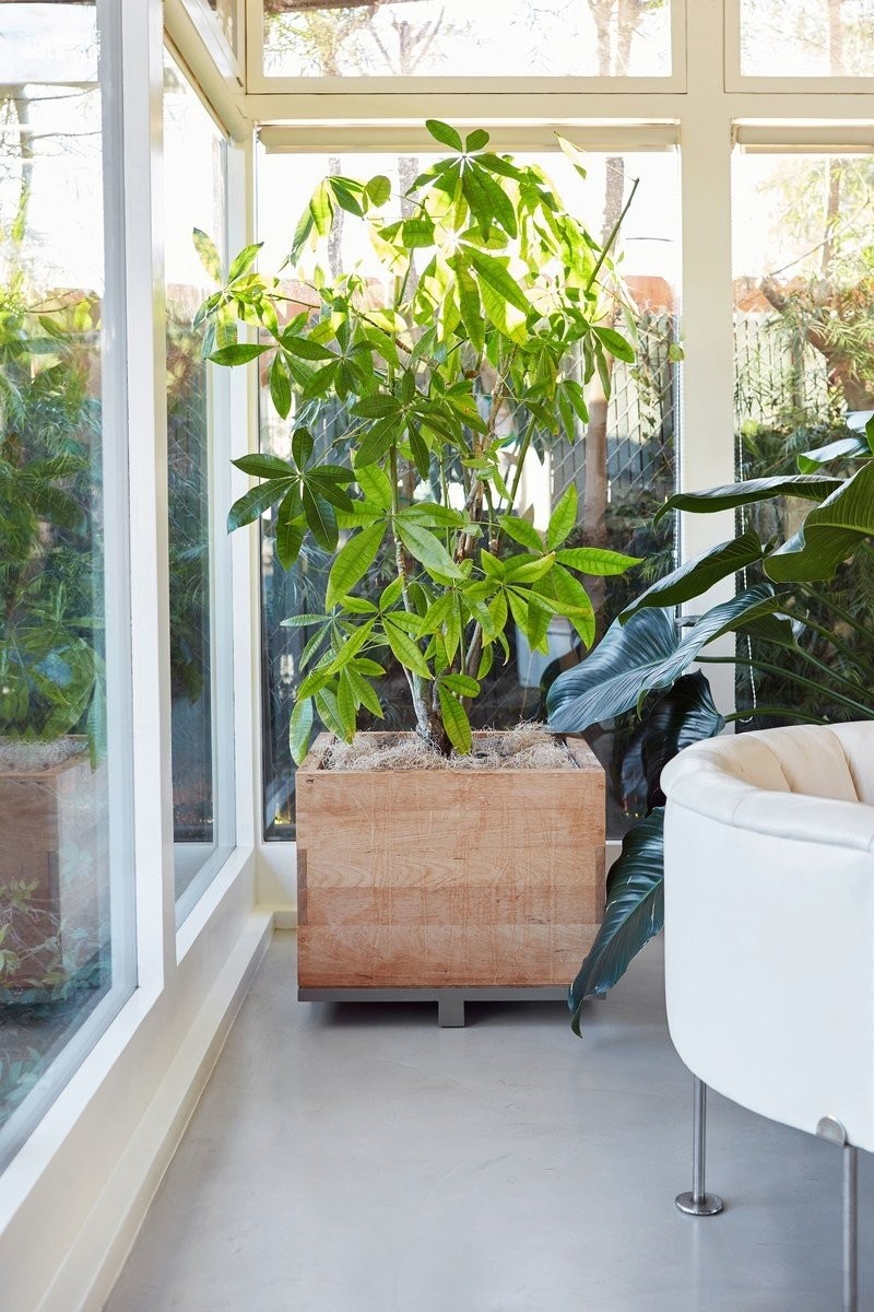 Περιηγηθείτε στο ειδυλλιακό σπίτι της Courtney Cox στο Malibu- Φωτογραφία 4