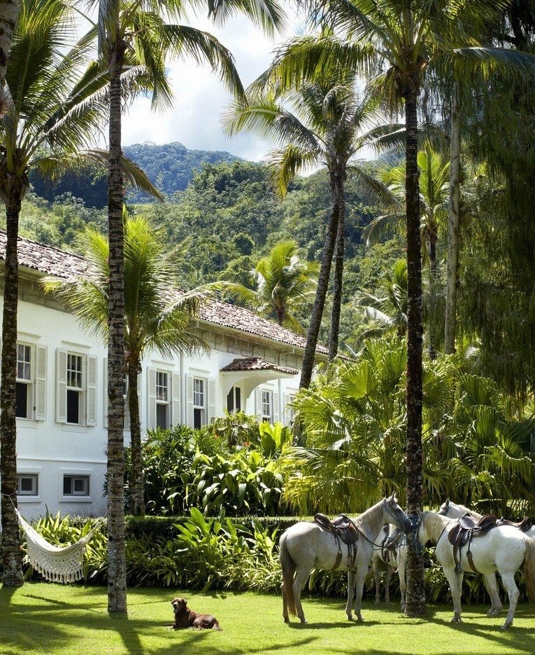 Η ανατρεπτική ιστορία πίσω από το υπέροχο σπίτι του Lenny Kravitz στη Βραζιλία- Φωτογραφία 10