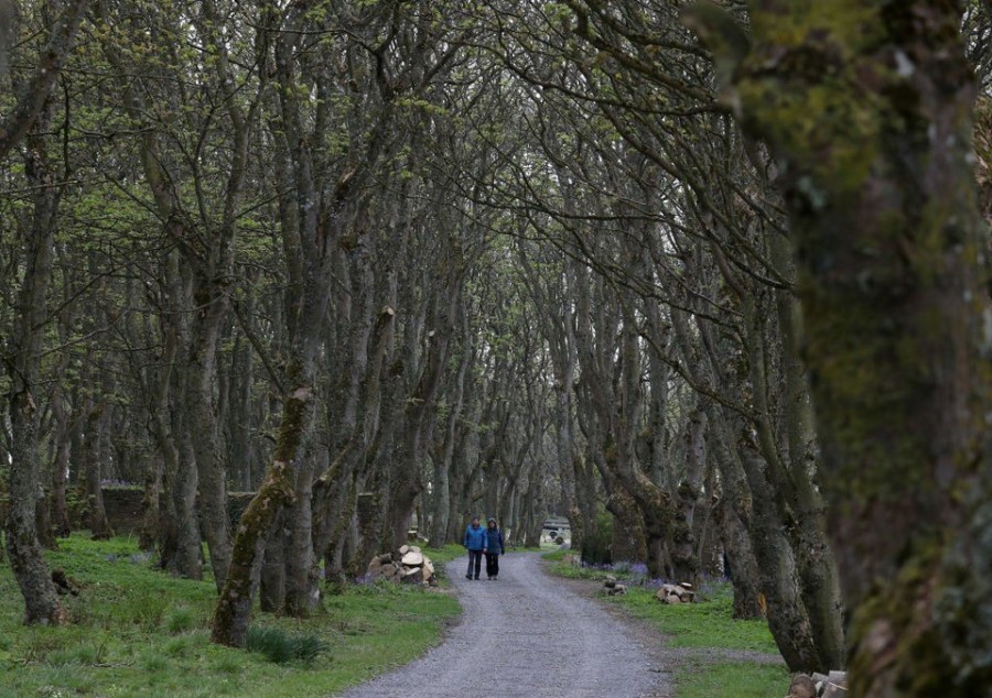 Σαν βασιλιάδες: Μείνετε στο νέο ξενοδοχείο που ανοίγει ο πρίγκιπας Κάρολος- Φωτογραφία 9