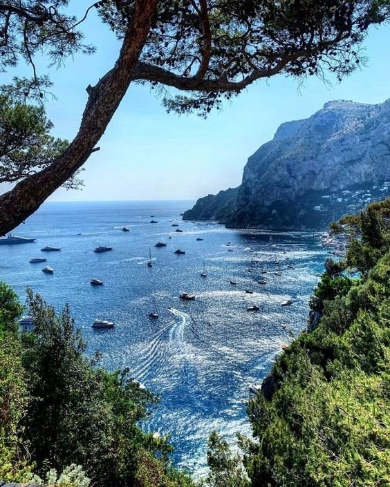 Λαμπεροί καλεσμένοι σ' ένα υπέροχο γεύμα στο κοσμοπολίτικο Capri- Φωτογραφία 10