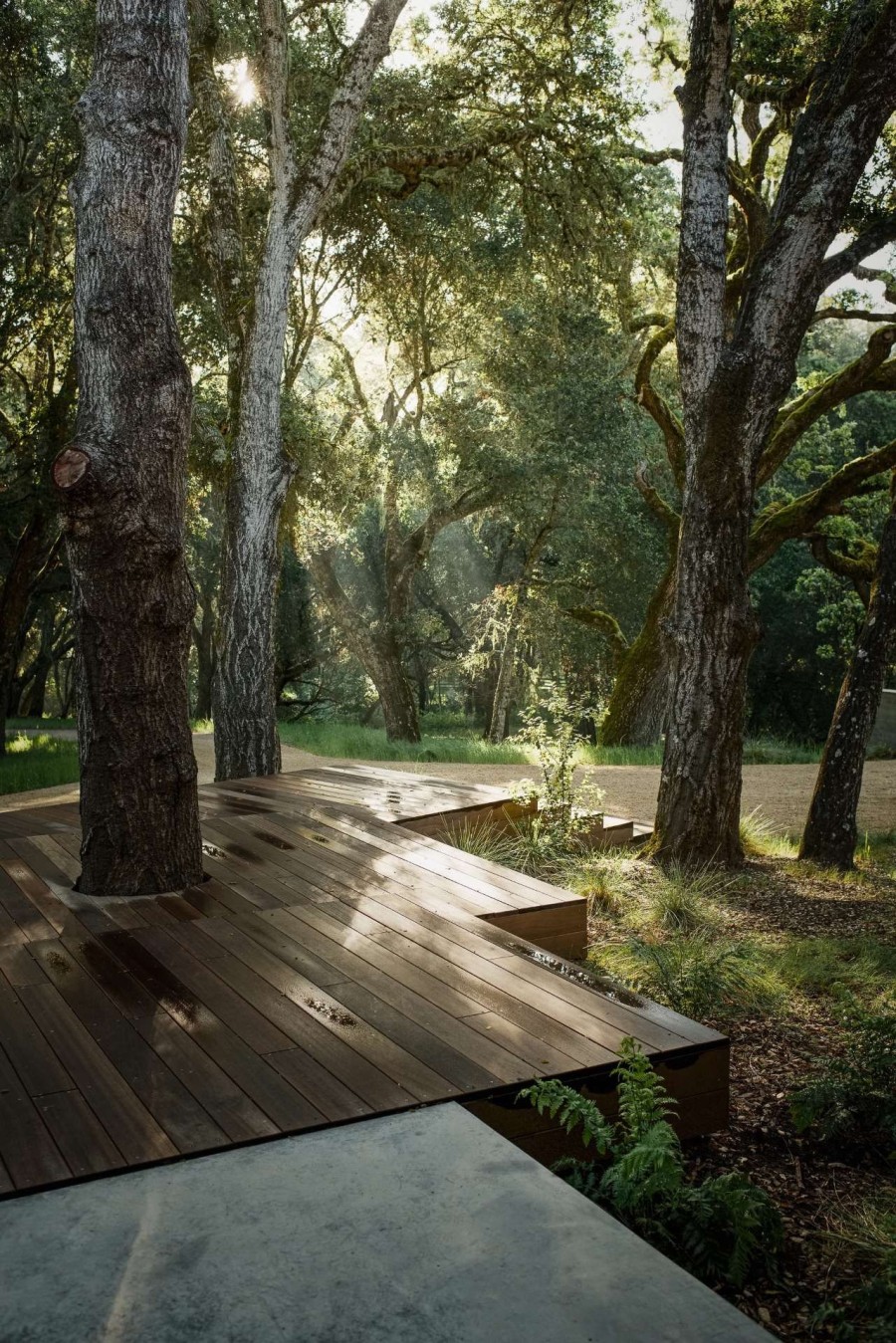 Το Carmel Valley Residence συνδυάζει τον μοντέρνο μινιμαλισμό με τη zen ατμόσφαιρα- Φωτογραφία 9