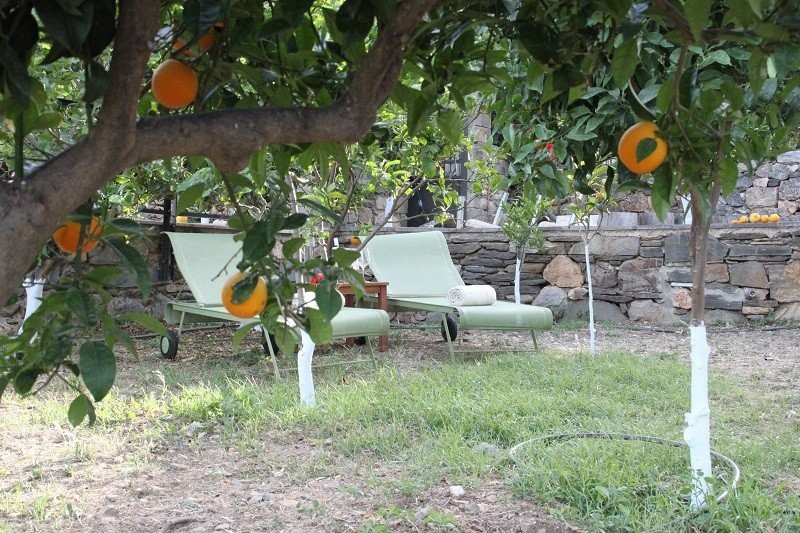 Ζήστε το απόλυτο καλοκαιρινό όνειρο με φόντο ένα κινηματογραφικό τοπίο σε ένα εναλλακτικό «﻿καταφύγιο» στη Μονεμβασιά- Φωτογραφία 6