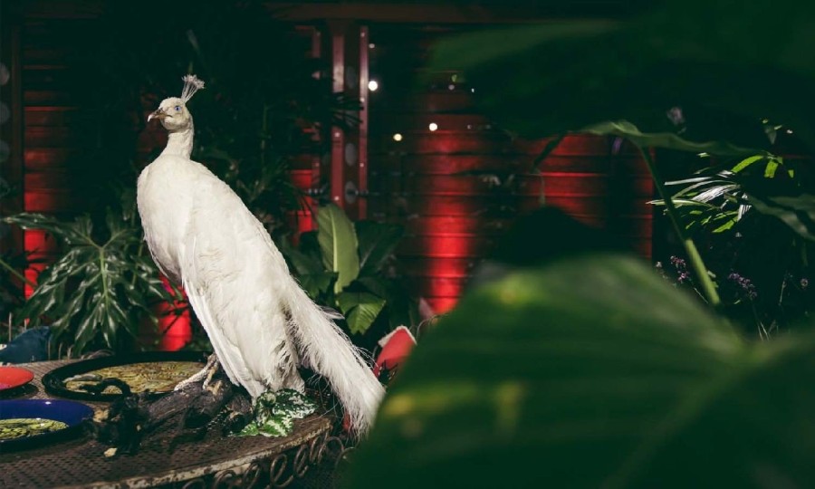 Παρουσιάστηκε στο Λος Άντζελες η νέα συλλογή Gucci Décor - Φωτογραφία 1