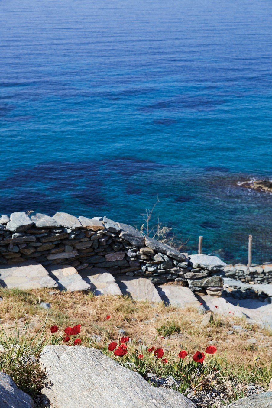 Joie de Vivre: Η Allegra Pomilio ανοίγει τις πόρτες της υπέροχης κατοικίας της στην Άνδρο- Φωτογραφία 5