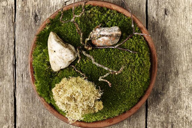 Noma Restaurant: Η πιο επιδραστική κουζίνα του κόσμου επιστρέφει - Φωτογραφία 7