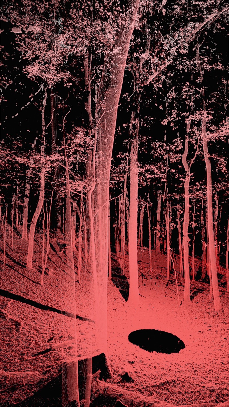 Μια εκ βαθέων συνομιλία με την επιμελήτρια της Thessaloniki Photobiennale, Κατερίνα Σταθοπούλου, που ζει κι εργάζεται στη Νέα Υόρκη- Φωτογραφία 4