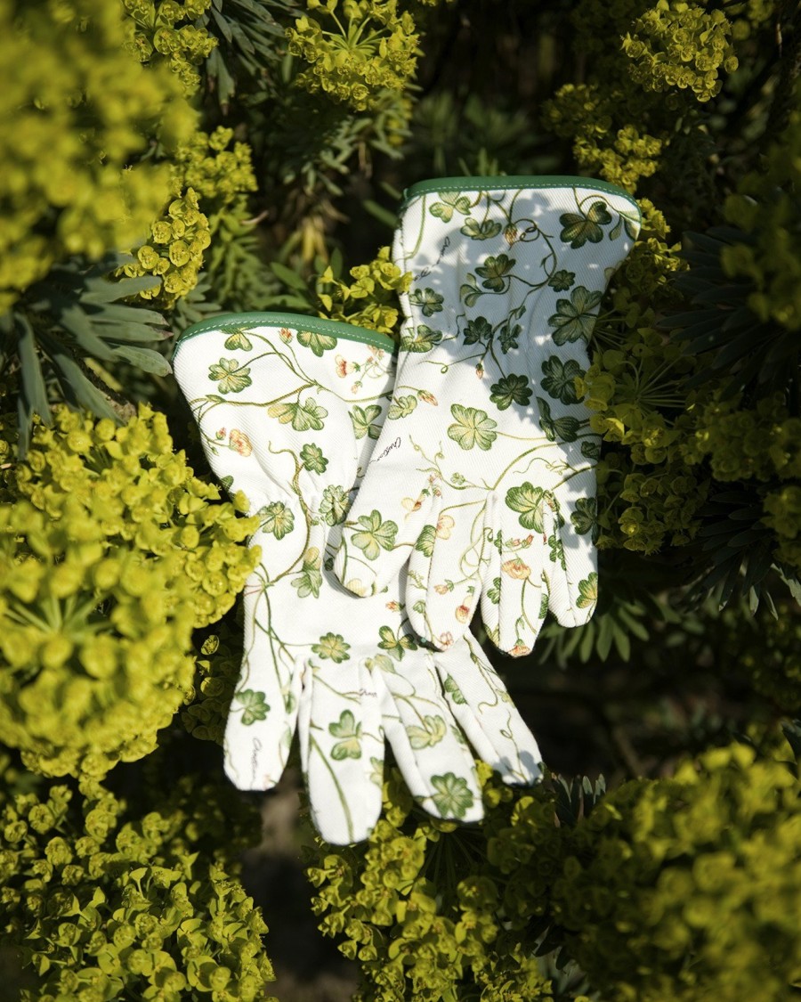 Dior Maison: Η Cordelia de Castellane συστήνει την πρώτη συλλογή κηπουρικής - Φωτογραφία 9