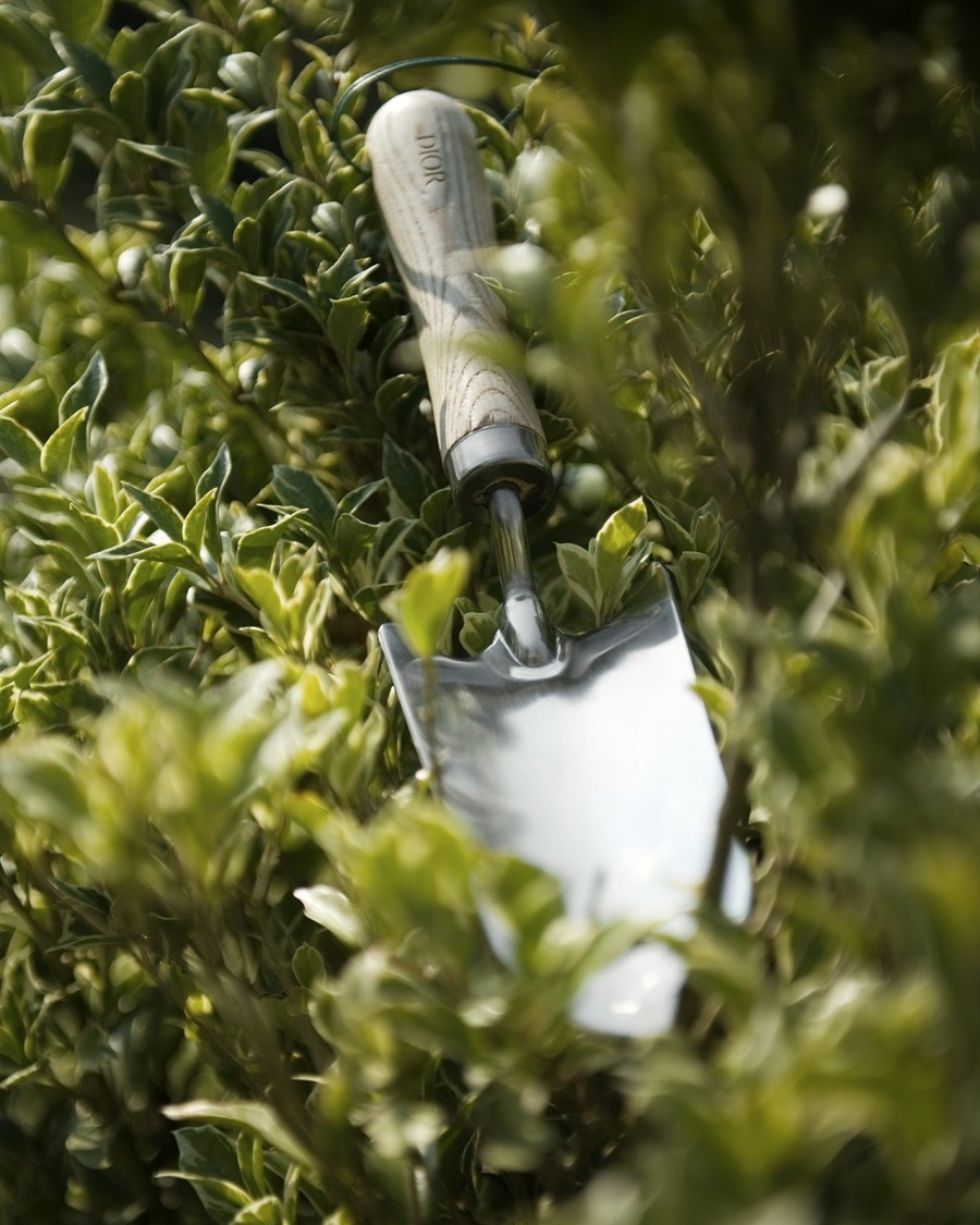 Dior Maison: Η Cordelia de Castellane συστήνει την πρώτη συλλογή κηπουρικής - Φωτογραφία 10