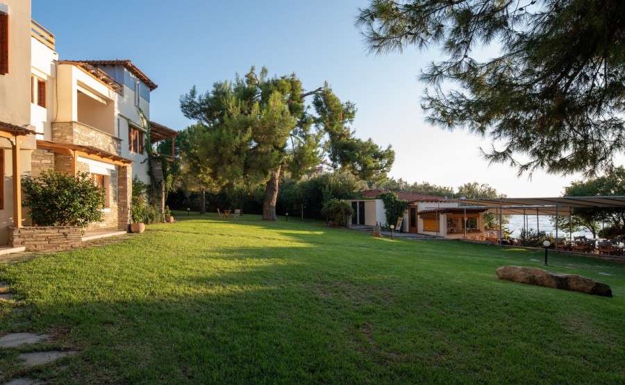 Ένα καλοκαιρινό καταφύγιο στο 2o πόδι της Χαλκιδικής που απογειώνει τη σημασία της αυθεντικής φιλοξενίας- Φωτογραφία 3