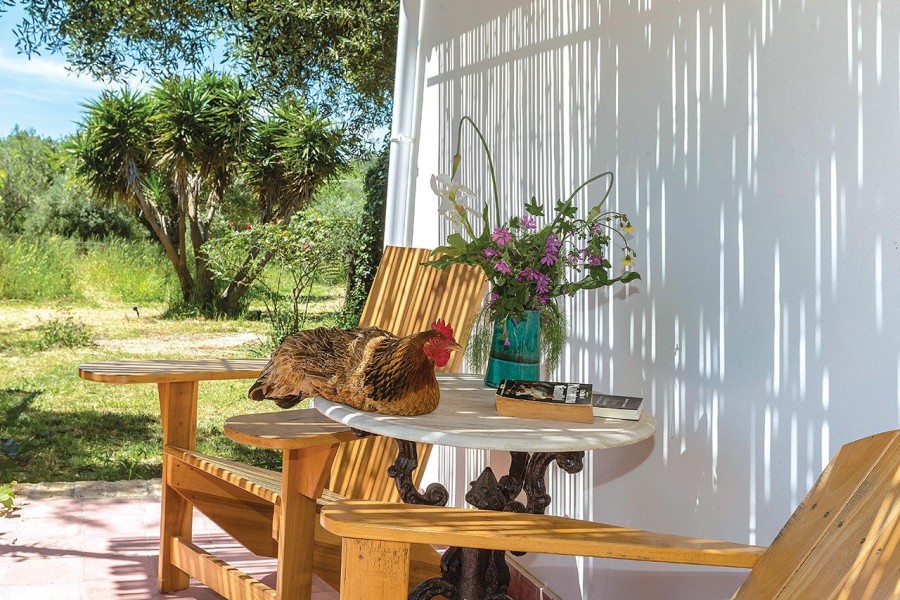 Η Χριστίνα Μαρτίνη των Ancient Greek Sandals μάς υποδέχεται στο προσωπικό της ορμητήριο στην Κέρκυρα- Φωτογραφία 7