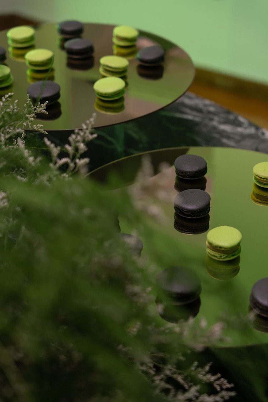 H καταπράσινη Verdant Edition by Yatzer άνθισε για τρεις μέρες στο yatzerlab- Φωτογραφία 3