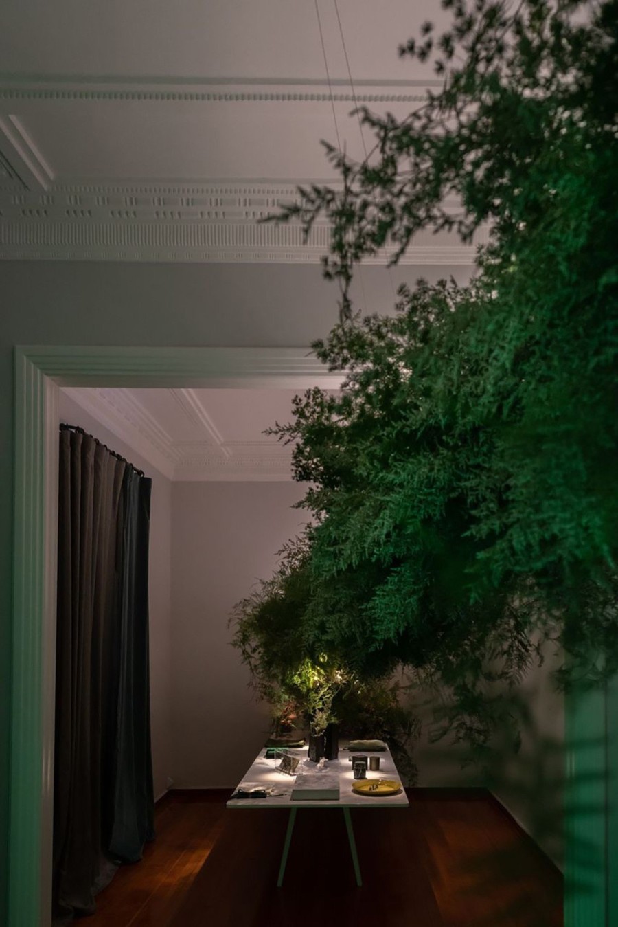 H καταπράσινη Verdant Edition by Yatzer άνθισε για τρεις μέρες στο yatzerlab- Φωτογραφία 7