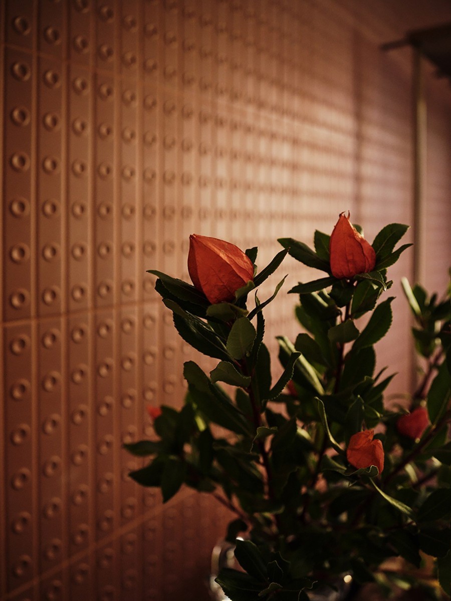 To ανανεωμένο The Twenty One Hotel στην Αθήνα είναι η απόλυτα stylish κοσμοπολίτικη απόδραση - Φωτογραφία 4