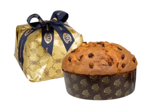  Panettone 