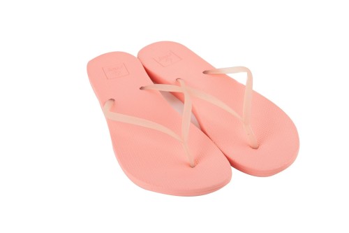  ΣΑΓΙΟΝΑΡΕΣ 