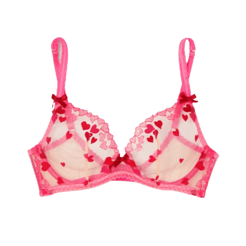  Cupid embroidered tulle underwired bra 