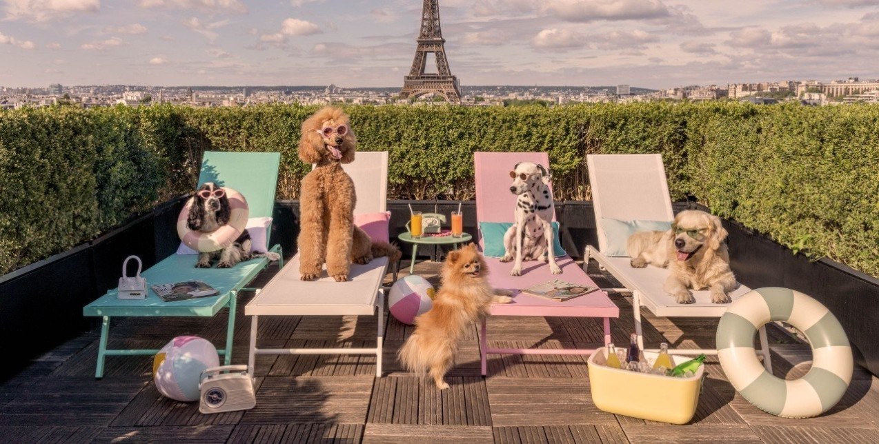 Μια σειρά από γλυκούς «εισβολείς» κατακτούν την Πόλη του Φωτός 