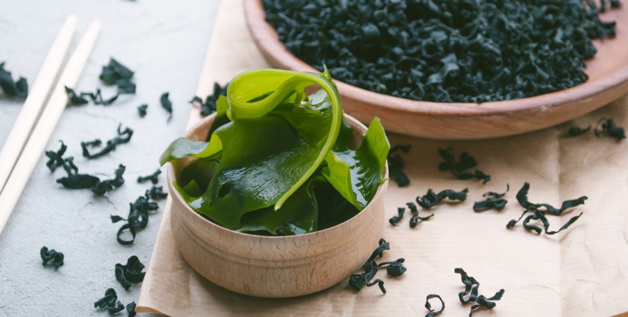 Θα φορούσατε ένα ρούχο φτιαγμένο από φύκια;