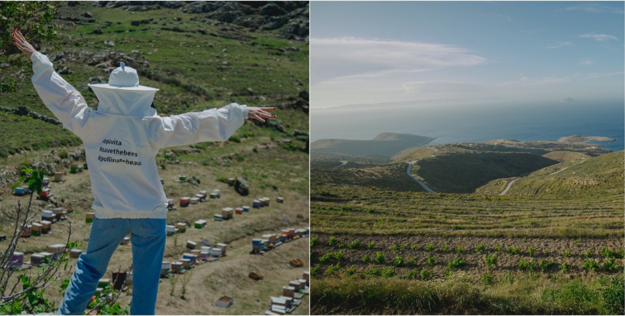 Ένα υπέροχο ταξίδι στη Σέριφο με πρωταγωνιστή τη... μέλισσα