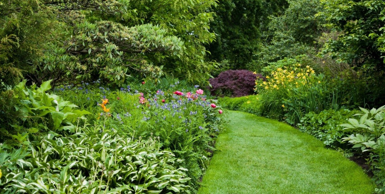 Easy-to-grow-summer flowers: Τα 4 κορυφαία λουλούδια για να φυτέψουμε εύκολα στον κήπο μας 